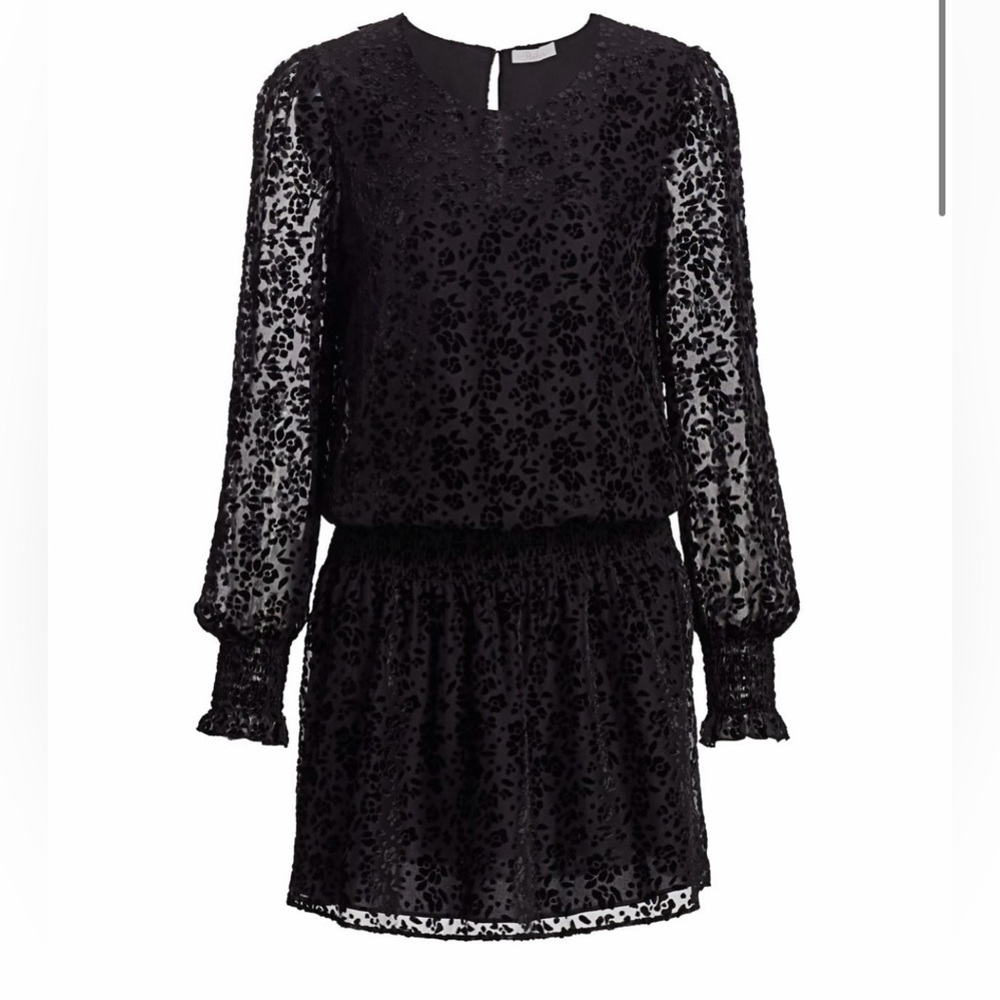 Parker — Carmindy Embroidered Semi-Sheer Dress